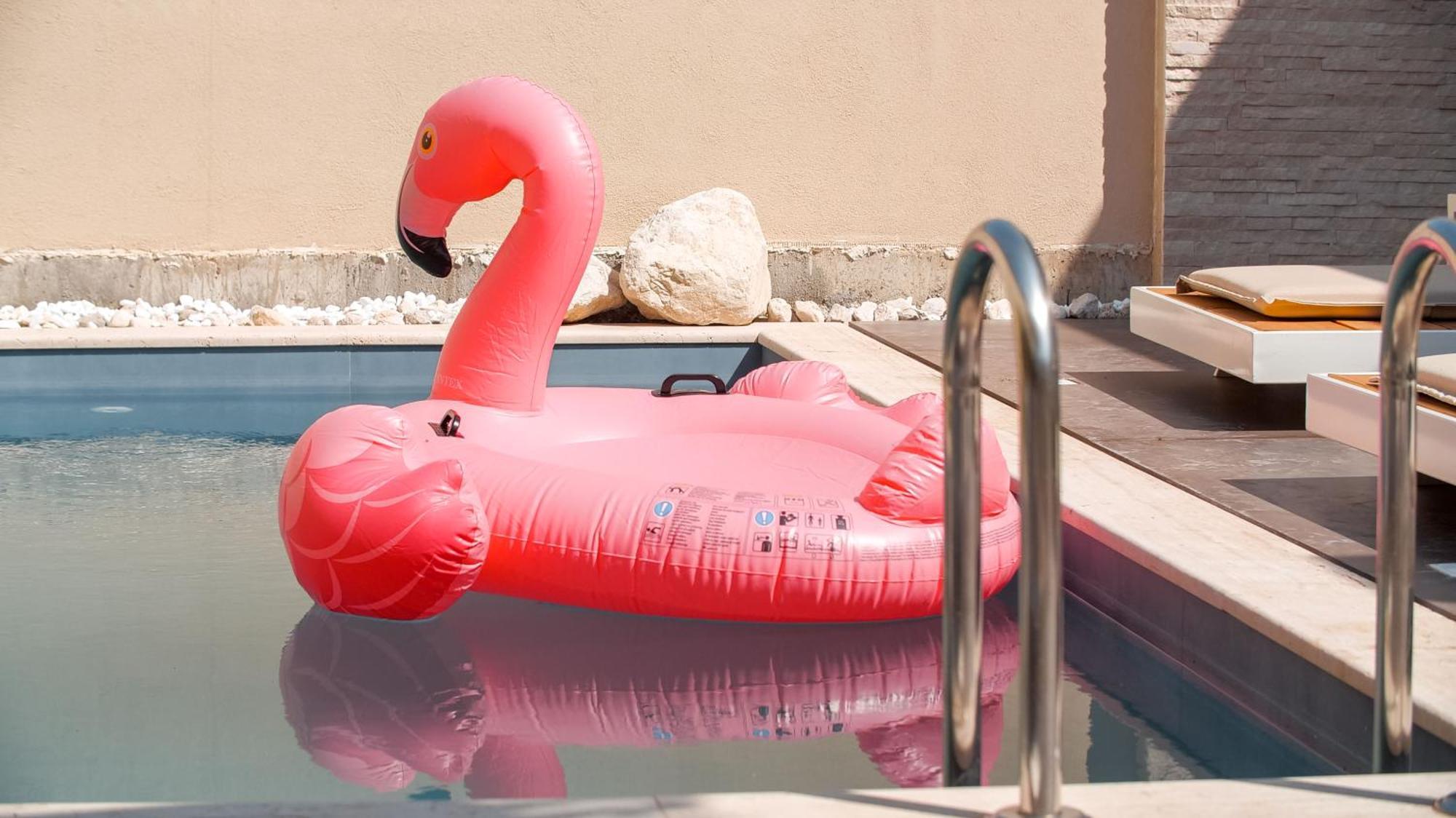 Willa Vila 122b Palase Privat Pool *